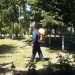 Пръскат срещу кърлежи цял месец 8 Пръскат срещу кърлежи цял месец