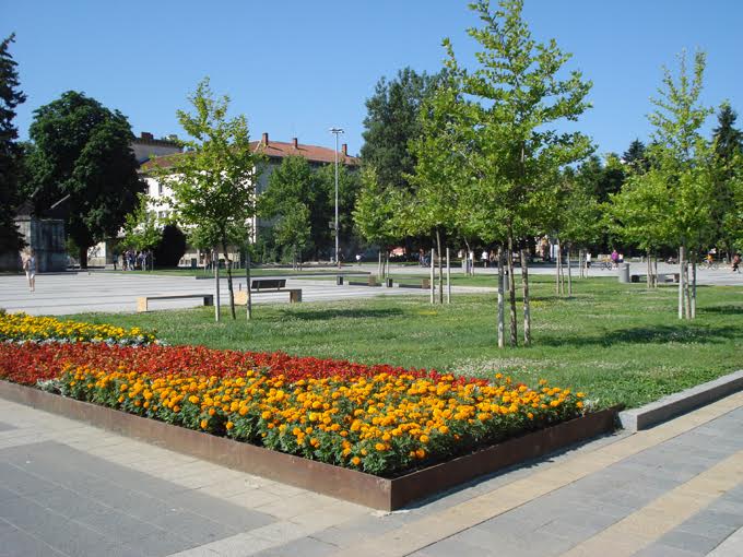 Овързаха с колове дръвчета в Плевен 1 2e0aed68 e112 30b1