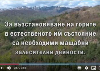 Направиха видеоклип за модерното залесяване у нас