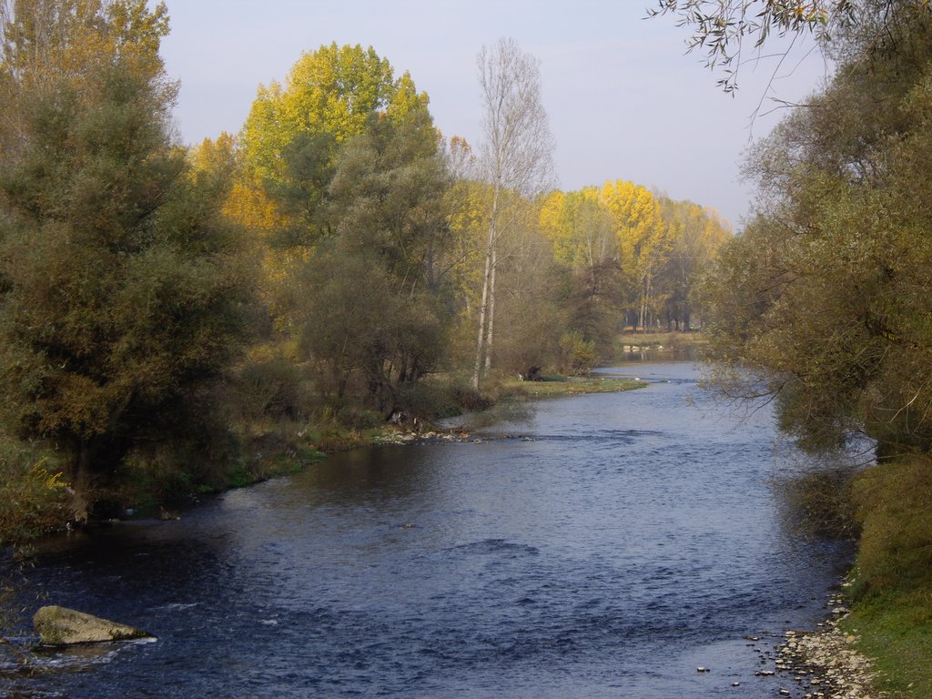 Струма тече тъмнокафява, оплакват се рибари 1 4d5519c8 c11b ee79