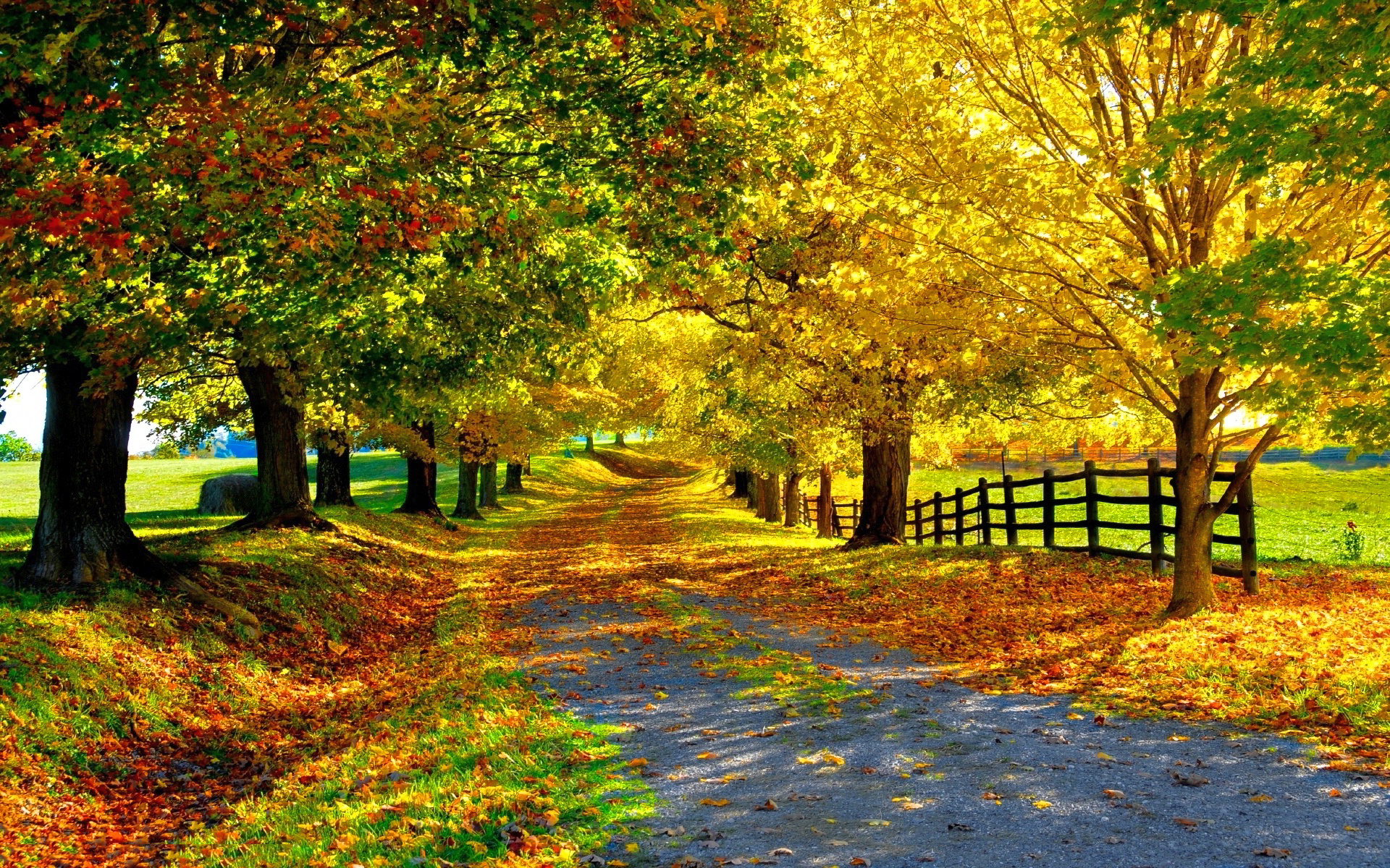 Прогноза за времето на 14.10.2015 г.