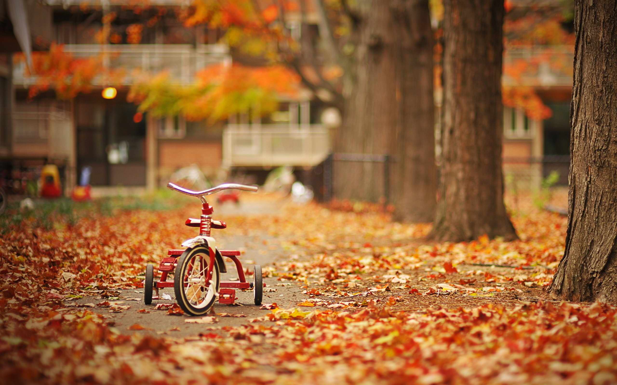 Прогноза за времето на 15.10. 2015 г.