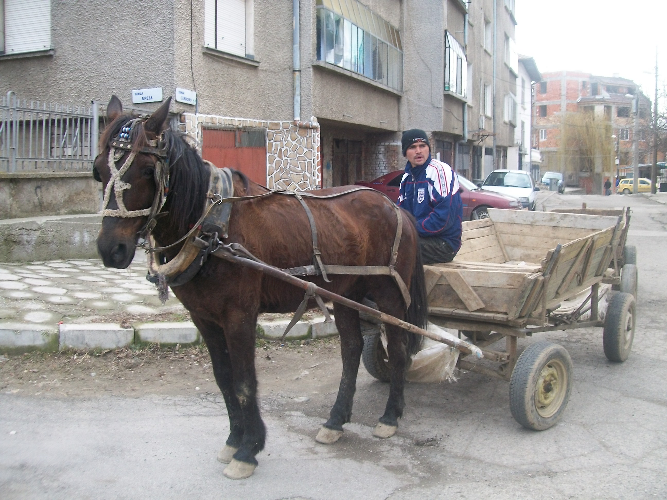 Броят каруца по каруца в Гоце Делчев