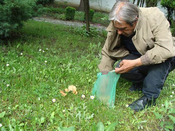 Изкупуват пачи крак по 4,50 лв. в Кюстендилско 9 Изкупуват пачи крак по 4,50 лв. в Кюстендилско