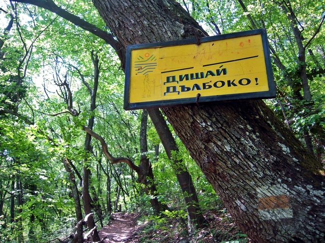 Екопътеките в България, по които да тръгнем още утре 1 4f64c81c 73c6 356b