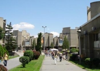 Вдигат Стена на изкуствата в Гоце Делчев
