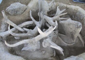 Археолог разгадава шифъра на Слънцето