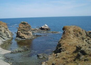 Царево пита Турция за ТЕЦ на морския бряг