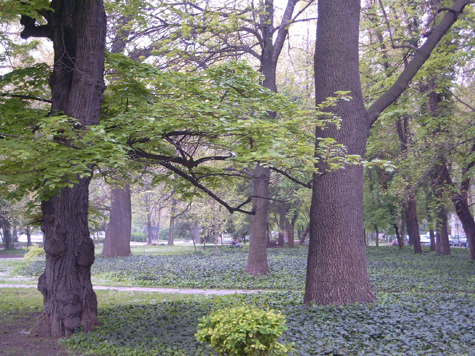 Пловдив купи машини за парковете