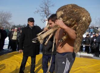Дават жив овен за победителя в борбите в Асеновград