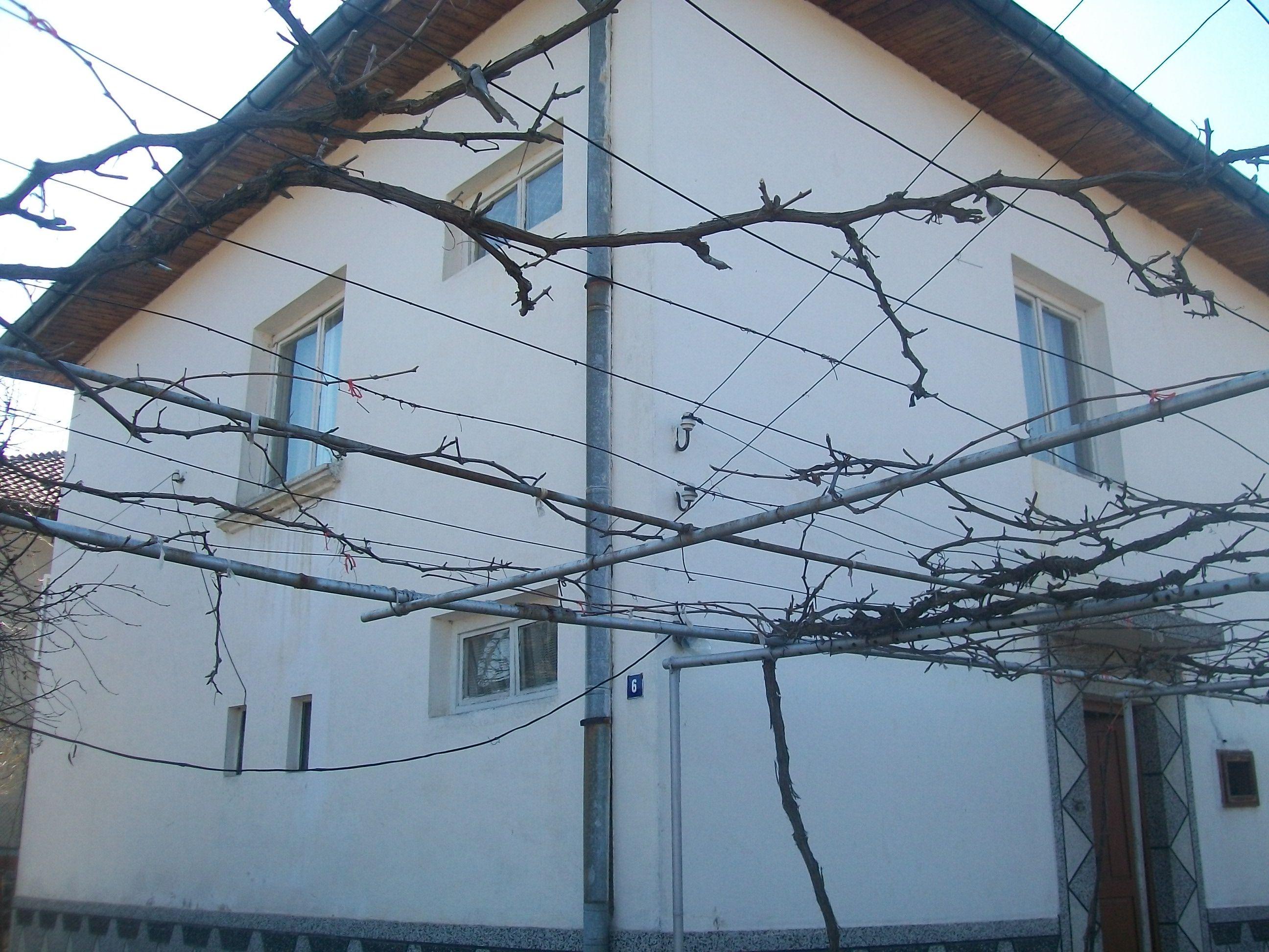 Погребват Дани на рождения й ден в абитуриентска рокля 1 52a11b8f4fdec