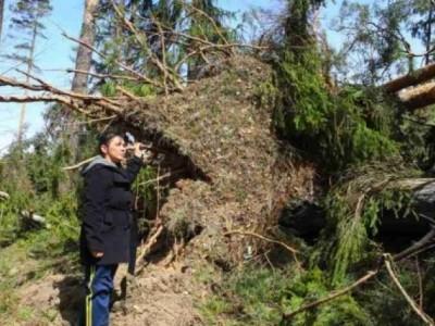 Бурята повалила 500 дка гори в Копривщица 1 52a13c0aa72ab