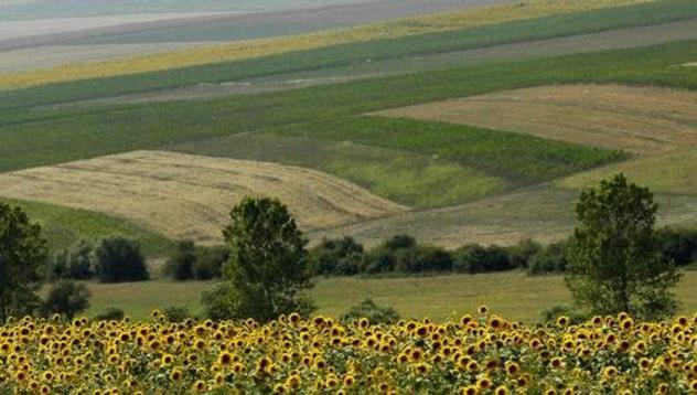 Публични дебати за бъдещето на програмата за селските райони
