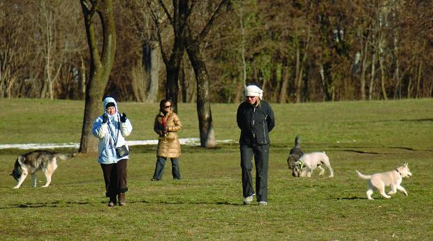 Варна събра само 1000 лева приходи от такса "куче" 1 52a14eadf0bbd