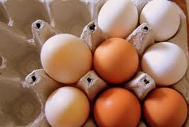 Отново ще изнасяме яйца и млечни продукти за Турция