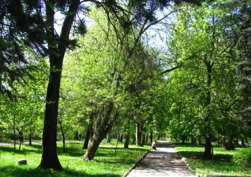 В Перник деца осиновяват дървета