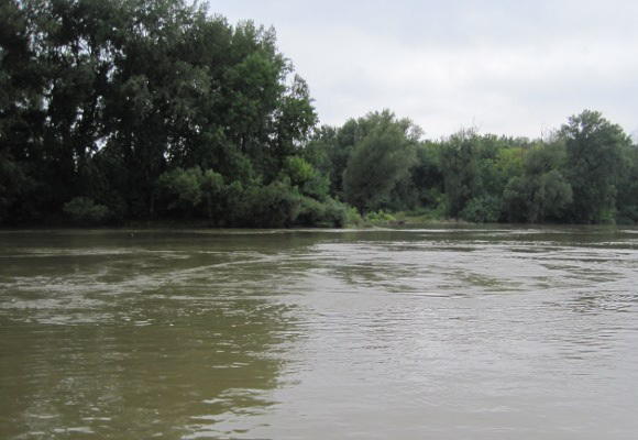 Дунав надига водите си