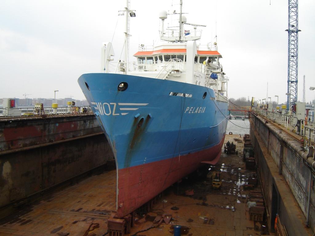 Холандци пристигат за научна експедиция в Черно море 9 Холандци пристигат за научна експедиция в Черно море
