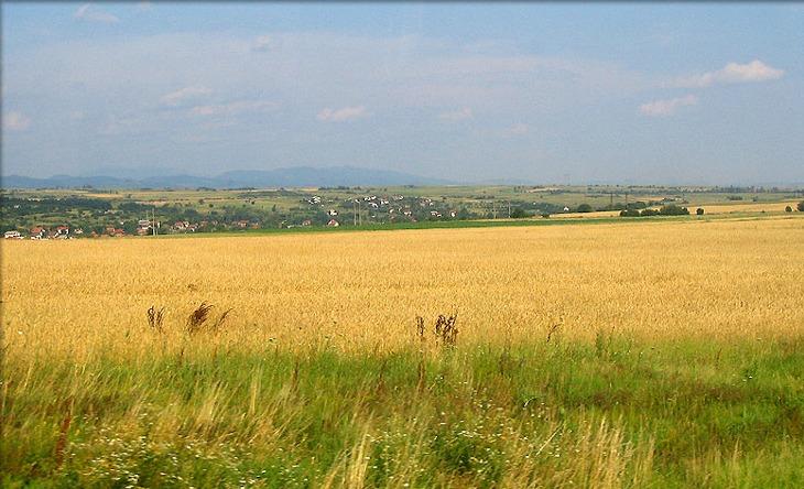 Жандармеристи пазят селскостопански продукции край Кърджали