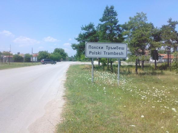 Хванаха чужденци да отглеждат канабис в Полски Тръмбеш 1 52a1aa6572978