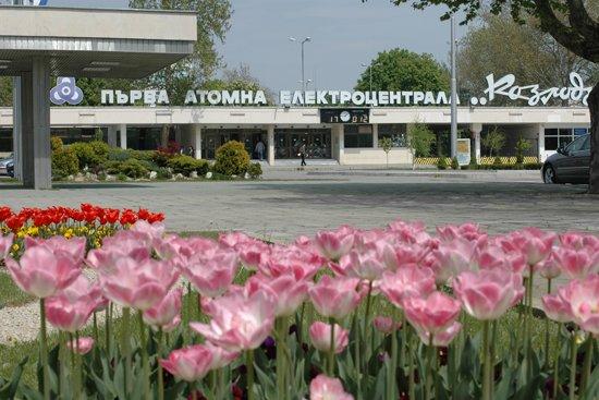 АЕЦ „Козлодуй” губи хиляди на ден заради ограничението на мощности