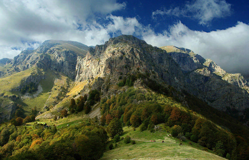 Доброволци чистят Централния Балкан