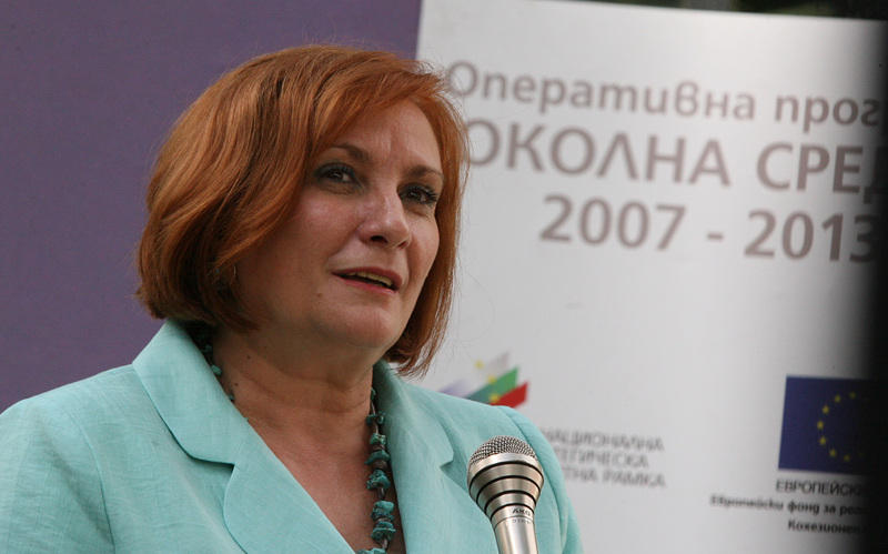 Спират поръчката за преброяване на делфините до 10 дни