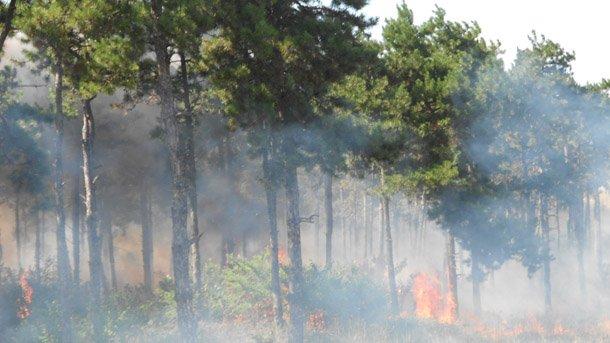 Пожарът в село Лесово все още не е овладян