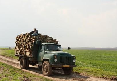 Връщат търговете за дървесина в горските стопанства в Пиринско 9 Връщат търговете за дървесина в горските стопанства в Пиринско