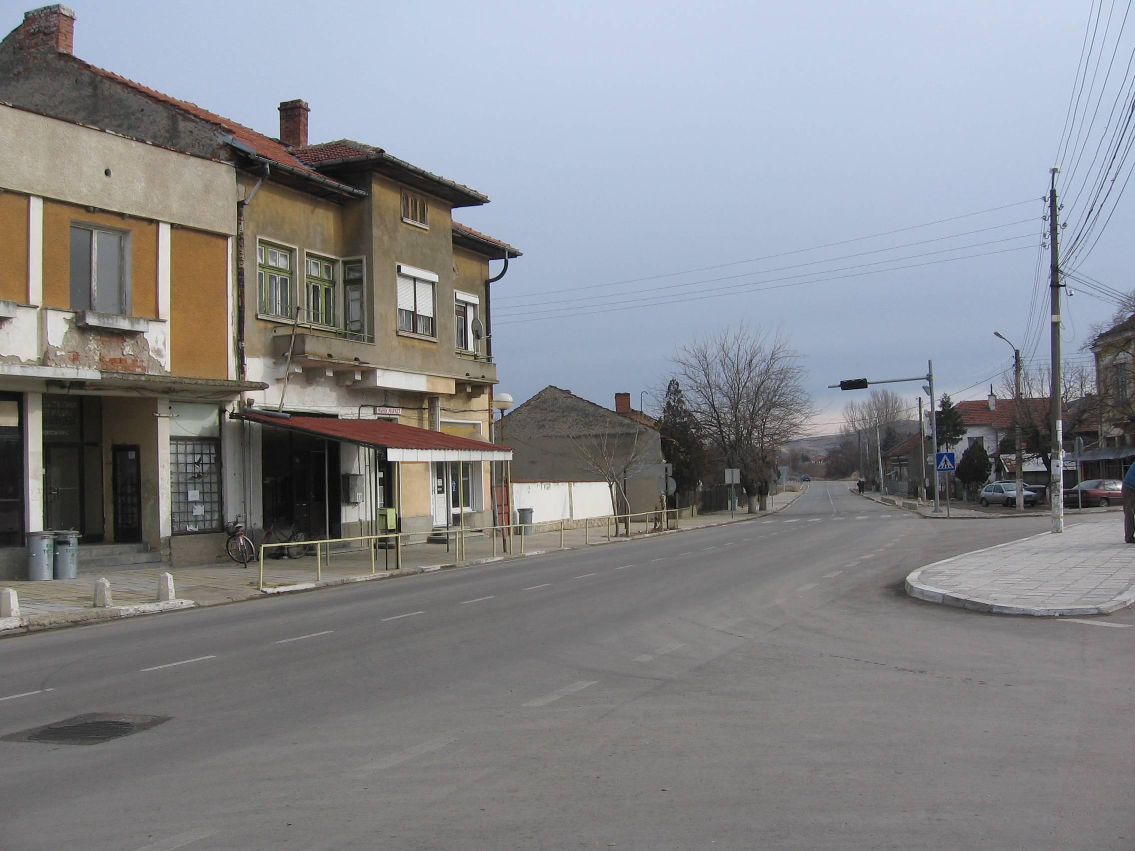 Две жени загинаха на път за шипки край Видин
