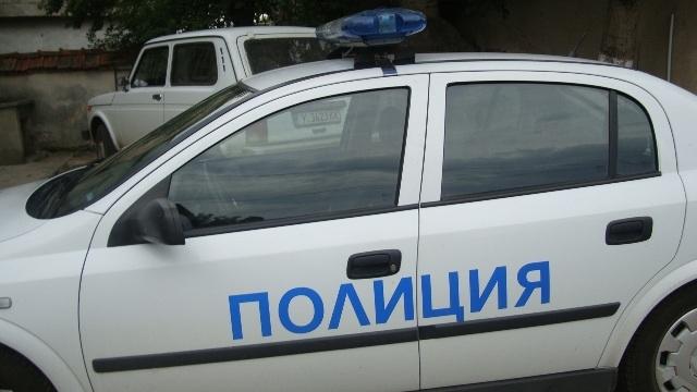 Мъртви кучета, котки и лисица открити до блок в Смолян