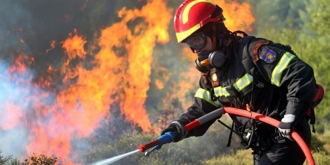 Пожар изпепели 80 дка гора край село Търън