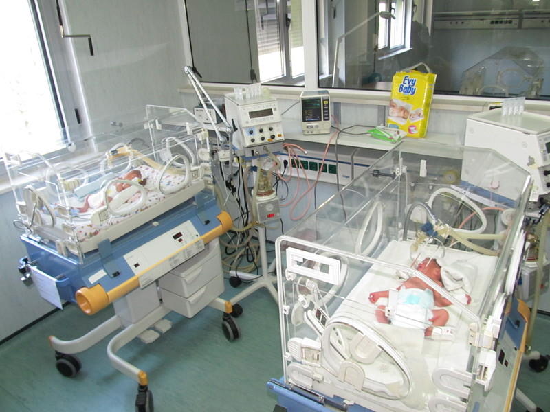 Русенка роди четиризнаци 1 52a59463793d3