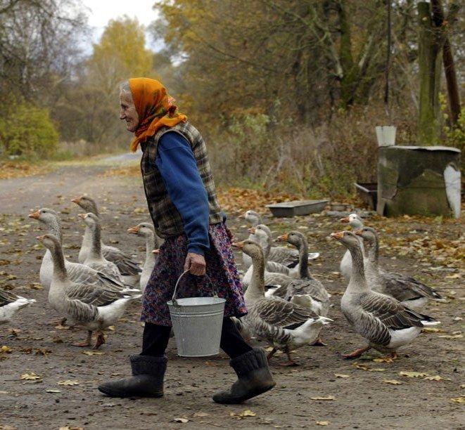 В три махали в Перник живеят без вода, ток и път