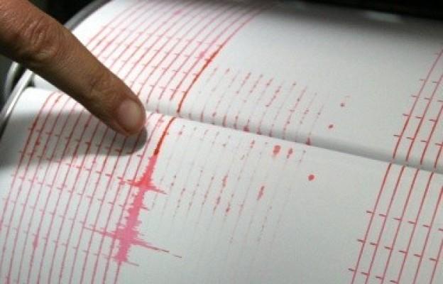 Слаб трус разлюля Кърджали