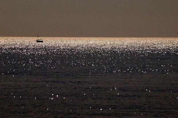 Водолази чистиха морето край Варна 9 Водолази чистиха морето край Варна