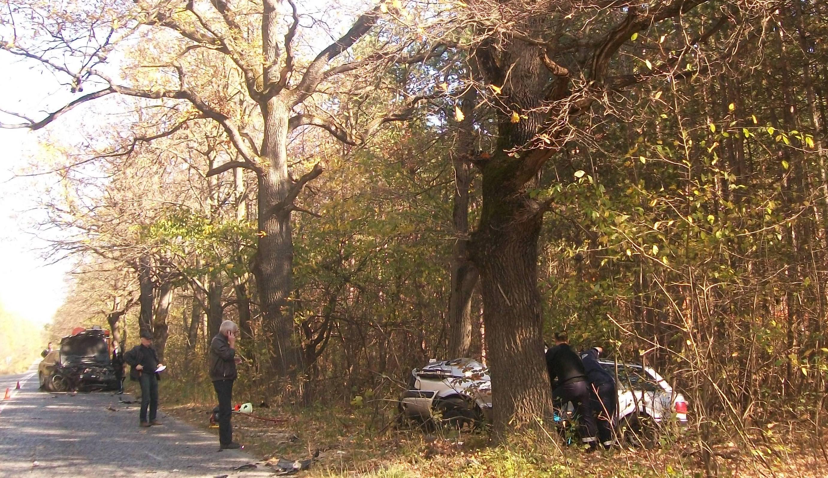Мъж загина в тежка катастрофа край Враца 1 52a5ca968be79