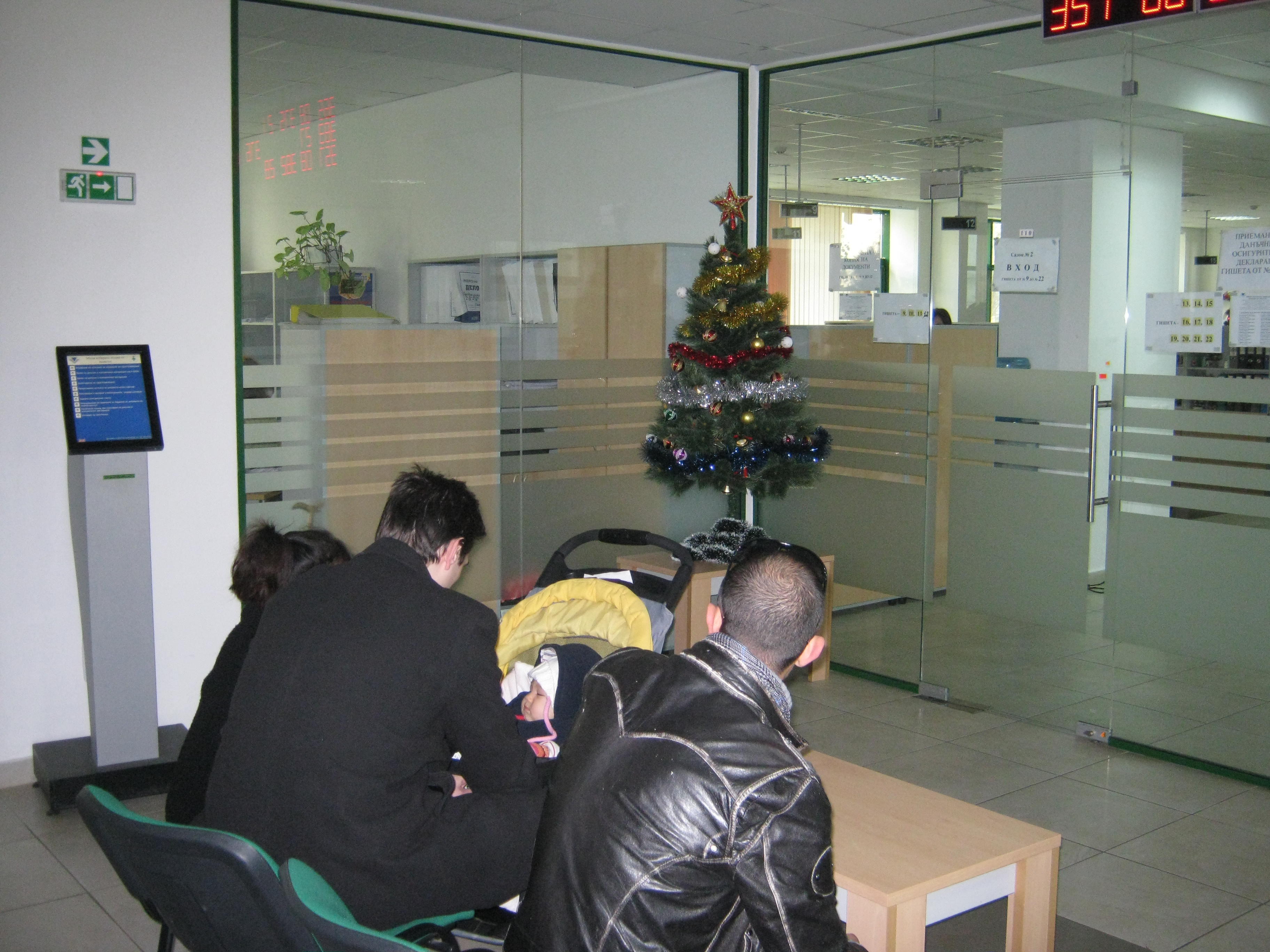 Русенци кичат с пожелания за новата година елхата на данъчните 1 52a5e59916eb0