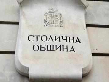 Проверяват опасните дървета в София