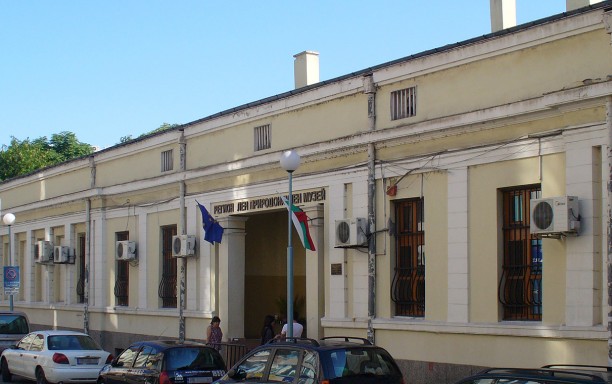 Показват най-голямата препарирана анаконда