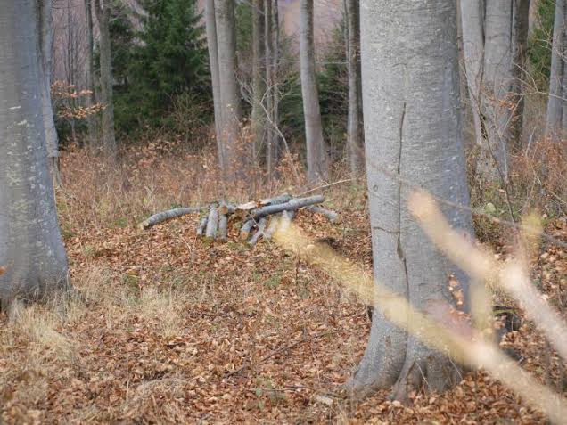 Спор за гори извежда жителите на Елешница на протест