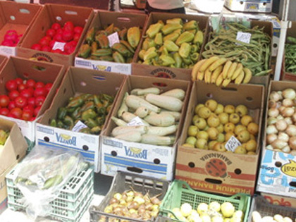 Зеленчукопроизводители следят за некачествена продукция в Благоевград
