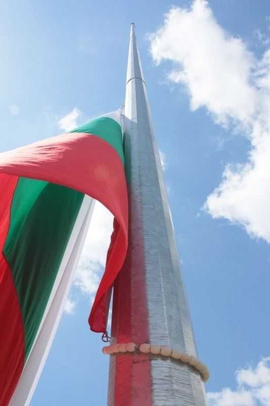 Българското знаме се издигна над "Баба Вида" във Видин 9 Българското знаме се издигна над “Баба Вида” във Видин
