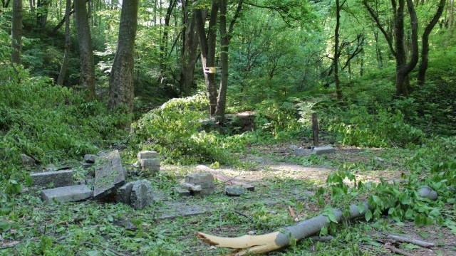 Добрич спаси 1300 дървета с разделно събиране на отпадъци