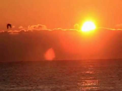 С мощен купон Слънчев бряг ще посрещне Джулай морнинг