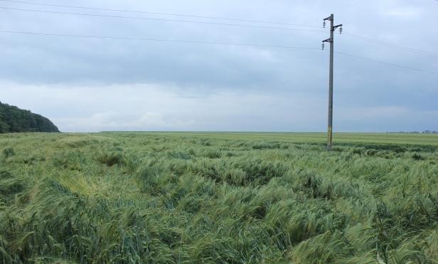 Три общини получават земи за общинско ползване