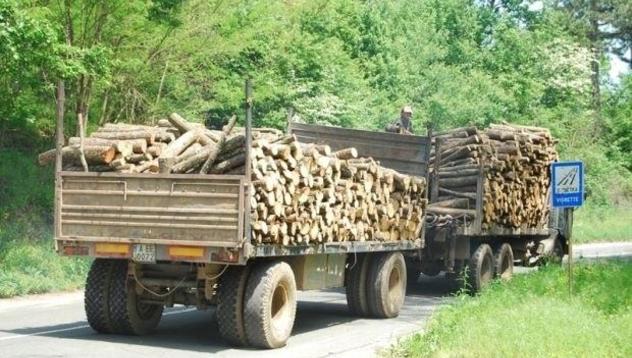 Опашки за дърва и въглища заради студа