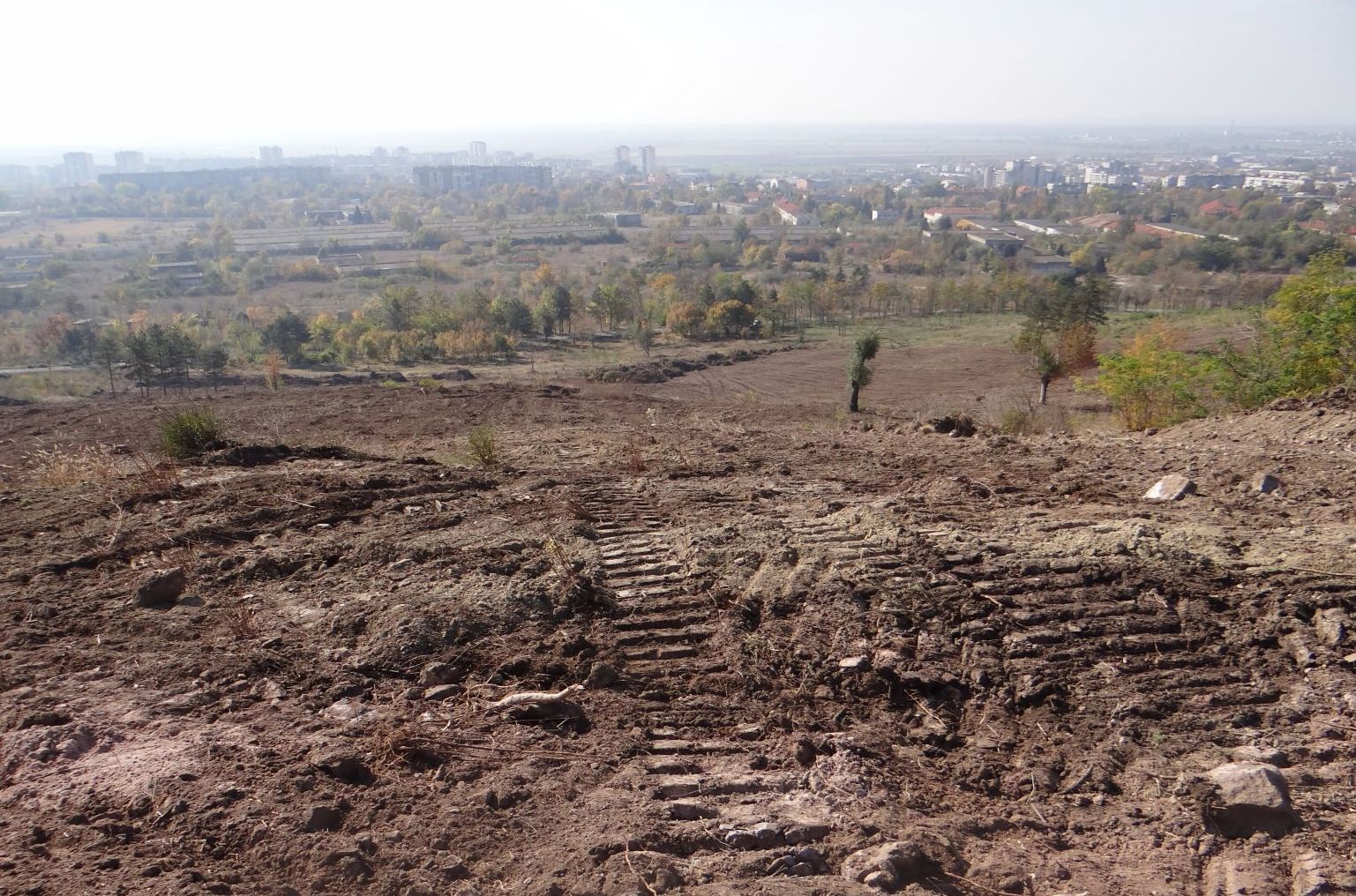 Общоградска кампания  залесява парк “Боровец” в Ямбол