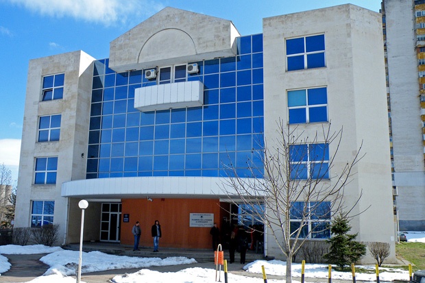 Данъчните във Враца спасиха 26 дървета 1 547867d21cf66