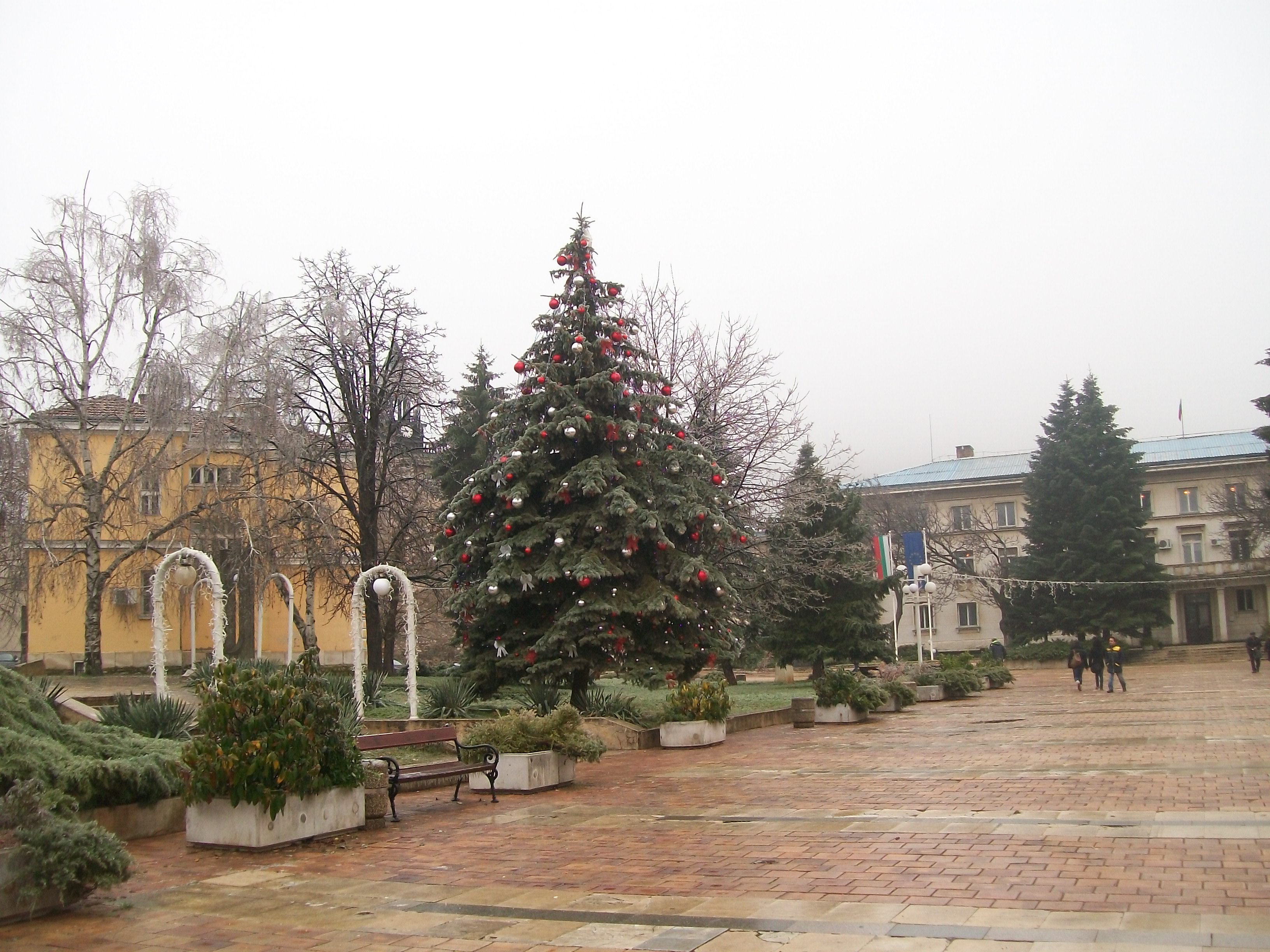 Фолклорни ритми и червено вино на Нова година във Враца